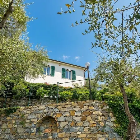 With Pool E Jacuzzi Free Parking Ac